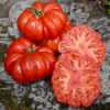 Rajčata - nové druhy semen, neoseed