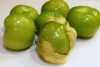 Tomatillo Verde (Physalis philadelphica) nebo též “ zelené rajče” původně pocházející z Mexika je jednoletá rostlina z čeledi lilkovitých s plody rostoucími uvnitř slupky, chutí připomínající angrešt, bohatými na vitamíny B a C a na minerální látky. Lze je skladovat v čerstvém stavu až 2 měsíce.
Tomatillo Verde je velmi oblíbené v mexické kuchyni, obzvláště v zelené salse. Je vhodné do omáček, na grilování aj. Pěstuje se  podobně  jako rajče i vzhled rostliny a listů je rajčeti dosti podobný.
 
Výška rostliny
Rostlina dorůstá výšky 70 – 120 cm.
V naší nabídce najdete stovky různých druhů semen…..
Semena - neoseeds

