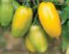 Nabízíme k prodeji semena rajčat Banana Leggs:
Rajče „Banana Leggs“ je tyčková ( indeterminantní) extrémně úrodná odrůda rajčat netradičního tvaru i zbarvení. Masité plody s jemnou chutí jsou vhodné  jak k přímé konzumaci, tak i na oživení pestrých zeleninových salátů, nebo k tepelné úpravě a konzervaci.
Semena – neoseeds

