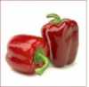 Paprika sladká Rubinova - semena
