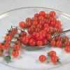 Nabízíme k prodeji semena rajčat Currant Red:
Rajče Currant Red neboli „červený rybíz“ je tyčková ( indeterminantní) rybízová odrůda a vůbec jedna z odrůd s nejmenšími, avšak chuťově výbornými a šťavnatými plody, vhodnými  zvláště  pro výrobu rajčatového džusu, na omáčky, ale i k přímé konzumaci, do salátů a na přízdobu pokrmů. Velmi sladkou chuť a velikost plodů ocení zvláště děti.  
Semena - neoseeds

