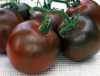 Nabízíme k prodeji semena rajčat Black Prince:
Rajče Black Prince „Černý princ“ (Solanum lycopersicum) je u nás méně známá  tyčková (indeterminantní) odrůda tzv. černých rajčat, pocházející ze Sibiře, charakteristická svým temně červeným až černým zbarvením a velmi chutnými šťavnatými plody,  vhodnými zvláště do salátů a k přímé konzumaci, ale i k tepelné úpravě.
Semena - neoseeds
