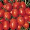 Nabízíme k prodeji semena rajčat Rio Grande.
Rajče Rio Grande je keříčková ( determinantní) odrůda se sytě až tmavě červenými plody, které dozrávají přibližně 75 – 80 dní.  Plody jsou dužnaté, chutné, vhodné k tepelné úpravě, zvláště do omáček, na kečupy i na sušení.

Semena – neoseeds
