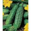 Nabízíme  k prodeji semena okurek Picolo di Parigi:
Okurka Piccolo Di Parigi je italská hojně plodící raná hruboostná odrůda okurek, vhodná k polnímu pěstování, dorůstající až 3m.
Krátké pevné světle zelené válcovité plody ideálně sklízené ve velikosti 6 – 10 cm jsou vhodné k přímé konzumaci, na krájení do čerstvých zeleninových salátů, na přízdobu pokrmů a na nakládání.
Semena – neoseeds
