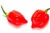 Nabízíme k prodeji semena chilli paprik Red Savina:
Chilli paprička habanero red savina (Capsicum Chinense) pocházející z Mexika, má typickou velmi pálivou chuť, pro kterou je proslavená po celém světě.  Lze ji využít sušenou na výrobu domácího koření nebo pálivých cukrovinek, používá se také do omáček jamajských a indických specialit. Pálivost může být až 577 000 jednotek SHU, proto byla dlouhou dobu považována za nejpálivější papriku světa. Rostlina má vysoké výnosy. Sada obsahuje 10 semen za 26,- Kč.
 Semena – neoseeds

