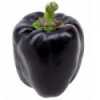 
Paprika Purple Beauty - Purpurová kráska (Capsicum annuum) je neobvyklá a velmi oblíbená raná odrůda paprik vyznačující se velkými masitými aromatickými plody netradiční fialové barvy a výborné sladké chuti. Lze ji pěstovat jak ve volné půdě, tak i ve skleníku, nebo foliovníku. Papriky jsou vhodné k přímé konzumaci, do čerstvých zeleninových salátů i na různé druhy tepelné úpravy.
Cena za balení je 15 kč .
Semena – neoseeds
