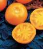 Rajče Tangerine F1 - semena