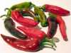 Chilli Paprička Anahaim  má svůj původ v Novém Mexiku. Proto jsou někdy též známé pod názvem New Mexiko papriky. Svojí pálivostí se řadí k mírně pálivým odrůdám. Dosahuje příjemné pálivosti od 500 do 2 500 SHU. Je velice oblíbená v mexické kuchyni. Velice dobře se hodí do omáček, polévek i na nakládání. Protože jsou plody velké, měkké a sladké jsou velice oblíbené pro přípravu plněných paprik.

Cena za balení je 25 kč.
Semena – neoseeds
