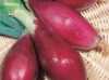 Cibule „Rossa di Firenze“ Allium cepa (cibule obecná - kuchyňská) je italská odrůda červené cibule pocházející z Florencie v Toskánsku, vyznačující se vynikající mírnou sladkou chutí, vhodná na svazkování. Sklizeň červenec až srpen. Sbíráme na zeleno. Cibule i její nať má v kuchyni široké využití. Je vhodná do čerstvých zeleninových salátů, na přípravu různých druhů omáček, italských pokrmů atd. Lze ji skladovat 2 až 3 měsíce.
Cena za balení je 19 kč .

Semena – neoseeds
