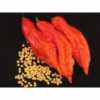 Nabízíme k prodeji semena chili papriky Jolokia Bhut Red:
Naga Jolokia Bhut dosahuje rekordní pálivosti mezi chilli papričkami. Její pálivost je až 1 001304 SHU (jednotek pálivosti). Předcházející rekordmanku Habanero Red Savina dosahující pálivosti něco málo přes 500 000 SHU překonala téměř dvojnásobně a následně byla zapsána do Guinnessovy knihy rekordů. Sada obsahuje 10 semen za 30,- Kč.
Semena – neoseeds
