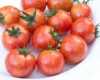 Rajče Bumble Bee Pink (Lycopersicon esculentum)  je (determinantní) raná odrůda cherry rajčete. Vyznačuje se zvláště velkou úrodností a velmi chutnými šťavnatými plody. Doba zrání je 70 – 75 dní. Odrůda je odolná proti praskání, hodí se jak pro venkovní pěstování, tak do skleníků. Plody jsou vhodné k přímé konzumaci a zvláště do salátů a na studené mísy.

Cena za balení je 20 kč.
Semena - neoseeds
 

