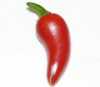 Chilli paprička Fresno má svůj původ v USA. Její pálivost je mírná, asi 6000 SHU a krom jiného je výborným zdrojem vitamínu C, B a železa. Vyniká vysokou úrodností.

 Cena za balení je 20 kč.
Semena – neoseeds
