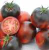 AKCE – sleva,výprodej všech semen rajčat o 30%
Nabízíme k prodeji semena rajčat Indigo Apple:
Rajče (Lycopersicon esculentum Mill) „ Indigo Apple“ je netradiční raná tyčková (indeterminantní) odrůda cherry rajčete. Plody se vyznačují oproti jiným odrůdám vyšším množstvím antioxidantů prospívajících lidskému zdraví. Jsou  vhodné  jak do pestrých zeleninových salátů, na přízdobu pokrmů, tak i k přímé konzumaci. Doba zrání je cca 75 dní. Plody jsou odolné k praskání a dobře skladovatelné. Sada obsahuje 10 semen za 25,- Kč.
Semena – neoseeds



