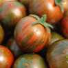 Rajče Black zebra cherry (Solanum lycopersicum)  je vzácná  keříčková(determinantní) odrůda cherry rajčátek, předurčená  pro pěstování v nádobách, truhlících, nebo závěsných koších na parapetech, balkonech či terasách. Krásně zbarvená rajčátka působí stejně dekorativně na terase,  jako na talíři.  Svěže sladkokyselé plody  jsou vhodné  do čerstvých zeleninových i těstovinových salátů, na přízdobu pokrmů i k přímé konzumaci. Jejich velikost ocení zvláště děti, které se můžou snadno podílet i na jejich pěstování a sklizni. Sada obsahuje 10 semen za 20,- Kč.
Semena – neoseeds
