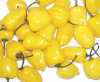 Paprička Yellow Habanero dosahuje velmi vysoké pálivosti pálivosti až 300 000 SHU (jednotek pálivosti Scoville Heat Units). 
Balení obsahuje 10 semen za 25 kč .
Semena – neoseeds

