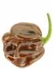 Nabízíme k prodeji semena chilli paprik Habanero Chocolate:
Paprička Habanero Chocolate má velmi atraktivní plody. Dosahuje velmi vysoké pálivosti pálivostI až 450 000 SHU (jednotek pálivosti Scoville Heat Units).Sada obsahuje 10 semen za 25,- Kč.
Semena – neoseeds
