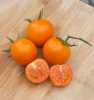 Nabízíme k prodeji semena rajčat Jaune Flamme:
Rajče Jaune Flamme (Solanum Lycopersicum) - vysoce produktivní raná odrůda pocházejí z Francie, která se pěstuje jako tyčková (indetrminantní). Jaune Flamme v překladu znamená žlutý plamen. Rajče je obzvláště chutné - sladká chuť s náznaky citrusů a oranžová barva vytvoří ze zeleninového salátu specialitu. Jaune Flame vynikne i sušené nebo grilované, protože plátky si i po tepelné úpravě uchovávají svoji oranžovou barvu. Sada obsahuje 10 semen za 15,- Kč.
Semena - neoseeds


