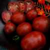 Nabízíme k prodeji semena rajčat Nyagous :
Rajče Nyagous je tyčková (indeterminentní) odrůda pocházející z oblasti Moldavska. Je velmi plodná, snadná na pěstování a dobře odolává chorobám. Plody rostou na vijanu po 3 – 6 kusech, jsou kulaté a nádherně červeno-hnědým zbarvením. Chuť je aromatická, ovocně sladká, masitá s uzeným nádechem skvěle se hodící do salátů, sendvičů, ale i do omáček nebo ke konzervování. Rajčata jsou odolná proti prasklinám. Sada obsahuje 11 semen za 15,- Kč.
Semena – neoseeds
