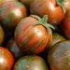 Rajče Black zebra cherry (Solanum lycopersicum) je vzácná keříčková (determinantní) odrůda cherry rajčátek, předurčená pro pěstování v nádobách, truhlících, nebo závěsných koších na parapetech, balkonech či terasách. Krásně zbarvená rajčátka působí stejně dekorativně na terase, jako na talíři. Svěže sladkokyselé plody jsou vhodné do čerstvých zeleninových i těstovinových salátů, na přízdobu pokrmů i k přímé konzumaci. Jejich velikost ocení zvláště děti, které se můžou snadno podílet i na jejich pěstování a sklizni.
Balení obsahuje 10 semen za 20,- Kč.
Semena – neoseeds
