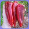  Nabízíme k prodeji semena papriky Marconi Rosso:Paprika Marconi Rosso (Capsicum annuum) –  velmi produktivní odrůda sladkých paprik, pocházející z Itálie, oblíbená jak v zeleném stavu, tak v plné zralosti, kdy jsou lusky sytě červené a velmi sladké.
Papriky jsou vhodné k přímé konzumaci, nebo na smažení, grilování, plnění apod.Sada obsahuje 30 semen za 11,- Kč.
Semena – neoseeds
