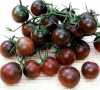 Nabízíme k prodeji semena Rajče Black Cherry
 Rajče Black Cherry je tyčková (indeterminantní), středně raná odrůda, vyznačující se vysokou úrodností a atraktivními, netradičně zbarvenými aromatickými a šťavnatými plody sladké jemné chuti. Jsou vhodné jak k přímé konzumaci, tak zvláště na přízdobu pokrmů a do salátů. Sladkou chuť a menší velikost plodů ocení hlavně děti.
Balení obsahuje 10 semen za 14,- Kč.
Semena – neoseeds

