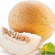 Meloun cukrový ananas - semena