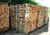 Velkosklad palivového dřeva 12 km od Ostravy nabízí tvrdé štípané bukové dřevo a měkké štípaně smrkové dřevo.Délky 25,33 a 50cm. Vlastní odvoz sklápěčka po 7 sprm pá + so.Cena 720 kč/sprm smrk, 989kč/sprm buk.