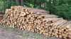 Prodáme palivové dřevo přímo z lesa i odkory. Dřevo je v délkách 2,5M 4M a 5M.
Tvrdé dřevo za 1600 prostorový metr. Měkké dřevo za 1400 prostorový metr.
Odkory 900Kč za prostorový metr. Vše pouze kamiónové množství. Štípané měkké dřevo 1900 Kč Prms.
Dřevo máme kolem Brna, Třebíče, Náměští nad Oslavou a Znojma.
Prosím volejte od 8:00-17:00

