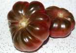 Rajčata - stovky druhů semen