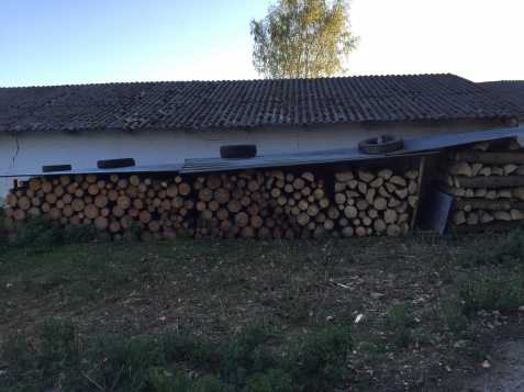 Palivové měkké dřevo