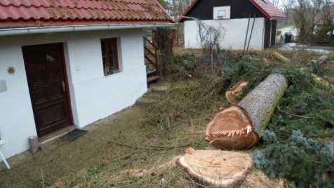 Rizikové kácení stromů Ostrava 